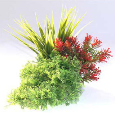 Plastiktaim Troopiline kimp