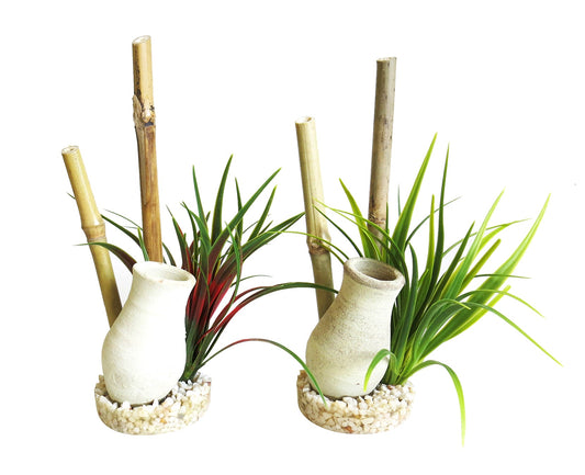 Akvaariumi kaunistus Jaapani aed