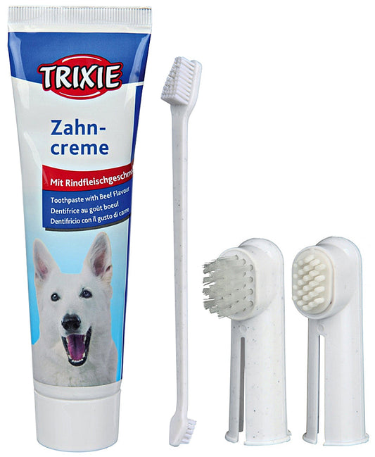 Koerte hammaste hoolduskomplekt