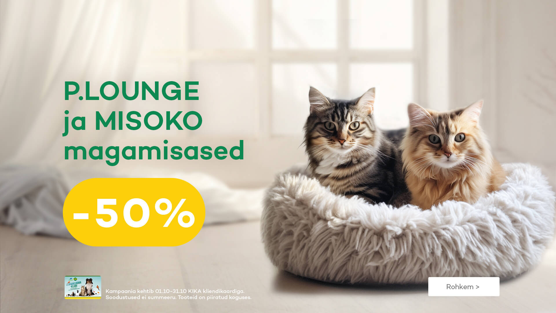 KIKA - P.Lounge ir Misoko guoliai