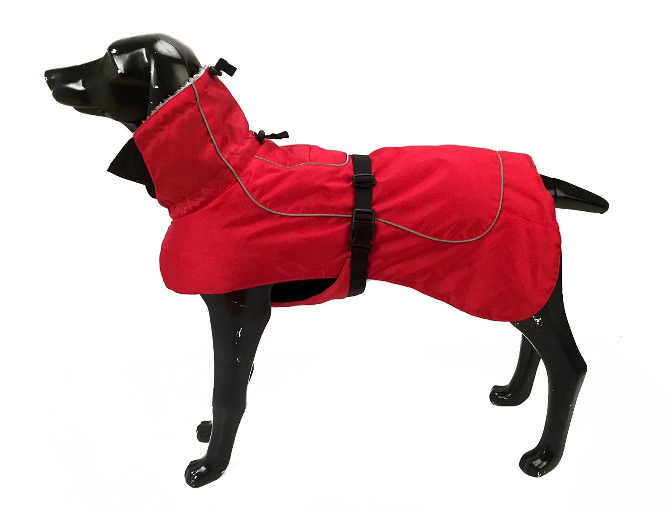 Külma ilma ABC | ekspert annab nõu, miks ja kuidas koera riietada