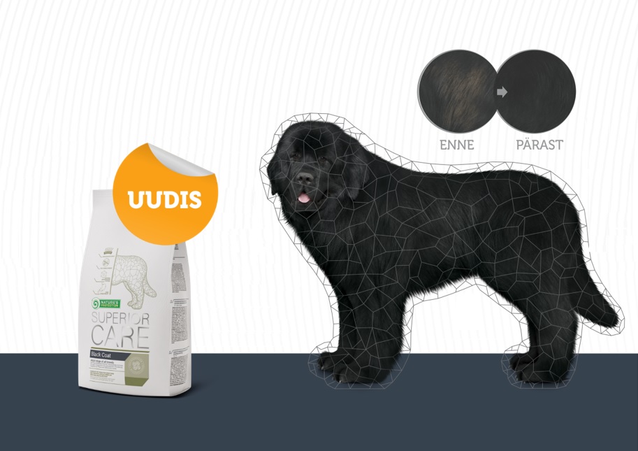 Suurepärane uudis koerakasvatajatele: on välja selgunud, mis põhjustab musta karva värvi muutusi!