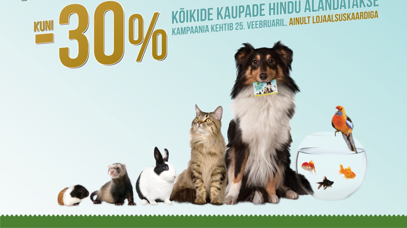 AINULT HOMME: kuni -30% kõik kaubad KIKA ja ZOO PLANET kauplustes!