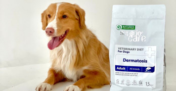 KIKA GROUP esitleb veterinaarkoerasööta: pakub tasakaalustatud dieeti lemmikule