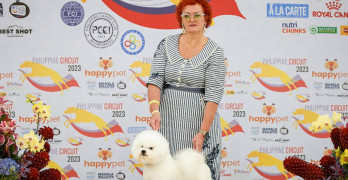 KIKA GROUPi saavutused Aasias: tšempionide tiitlitega hinnatud koerad ja televisiooni tähelepanu pälvinud tooted