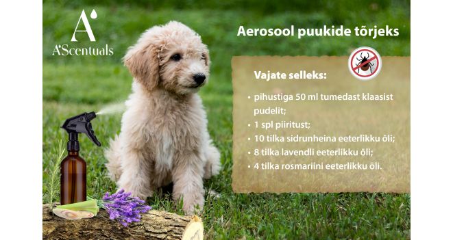 TEE ISE. Aerosool puukide tõrjeks