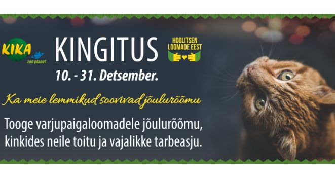 KIKA kutsub abistama kodutuid loomi kogu Eestimaal