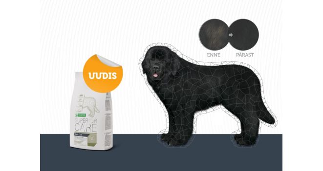 Suurepärane uudis koerakasvatajatele: on välja selgunud, mis põhjustab musta karva värvi muutusi!