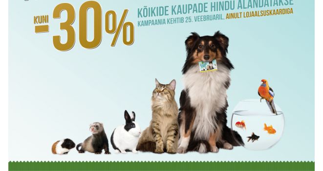 AINULT HOMME: kuni -30% kõik kaubad KIKA ja ZOO PLANET kauplustes!