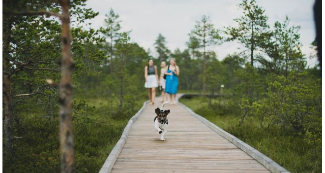 Kuidas oma lemmikloomal ära tunda puukinfektsiooni sümptomeid?