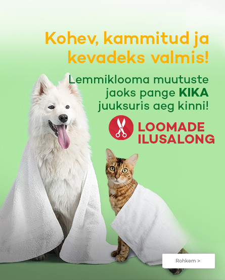 KIKA - Kirpyklos