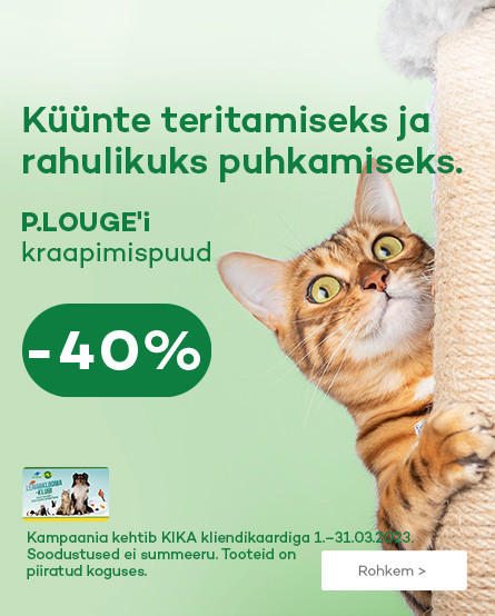 KIKA - P.Lounge draskyklės