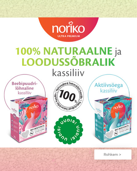 KIKA - Noriko kraikas