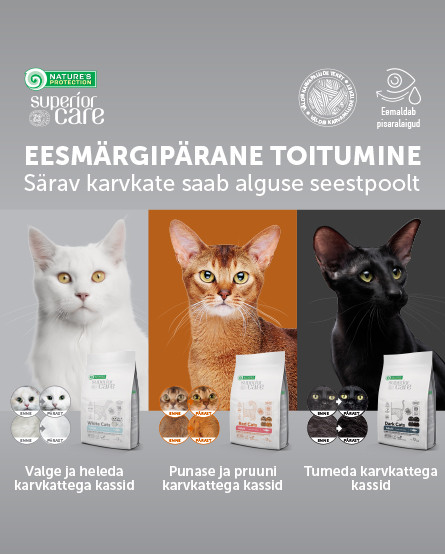 KIKA - naujas kačių pašaras