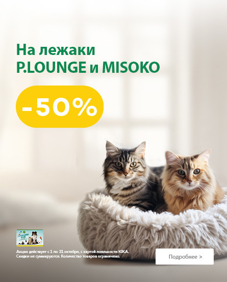 KIKA - P.Lounge ir Misoko guoliai