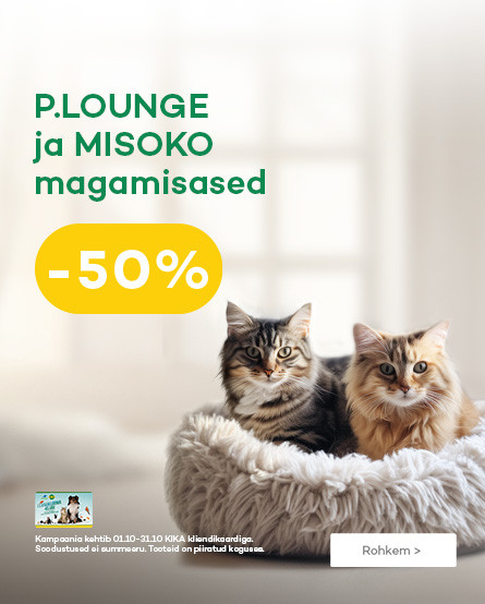 KIKA - P.Lounge ir Misoko guoliai