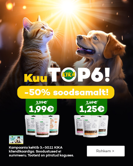 TOP 6 MAIUST