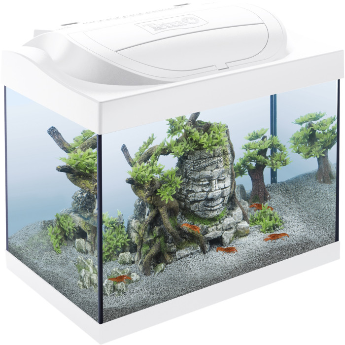 TETRA Starter Line LED Crayfish akvaariumi komplekt, 30 L 