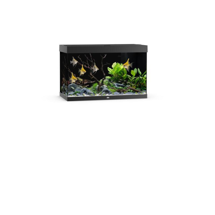 JUWEL Rio 290 LED akvaarium, 290 l 