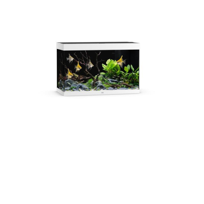 JUWEL Rio 290 LED akvaarium, 290 l 