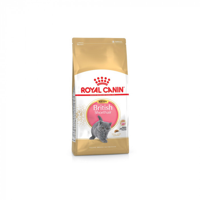 ROYAL CANIN сухой корм для котят породы британская короткошерстная 