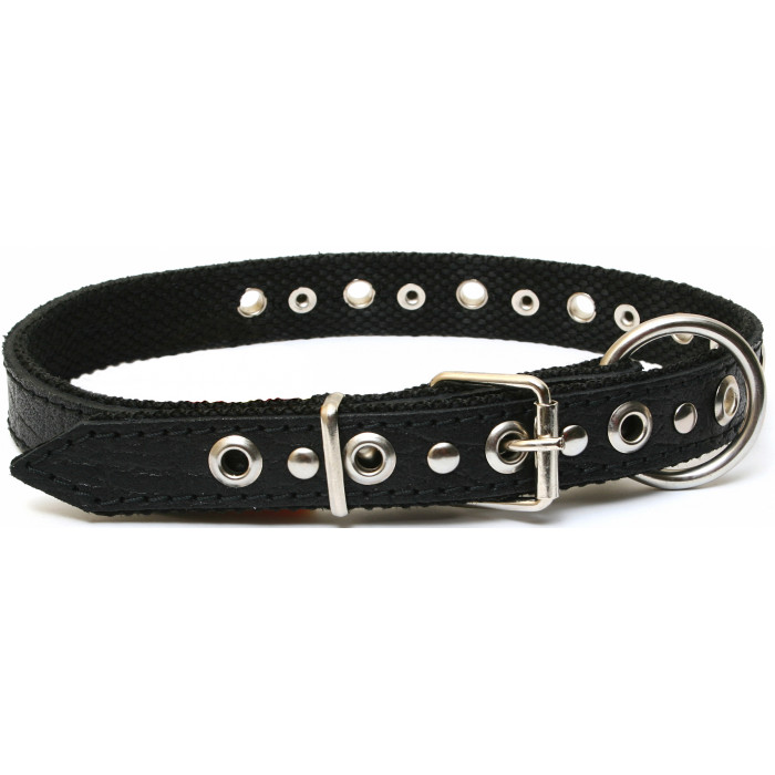 HIPPIE PET Ошейник из капрона, с кольцом 