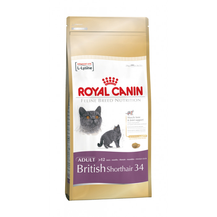 ROYAL CANIN kuivtoit briti lühikarvalist tõugu täiskasvanud kassidele 