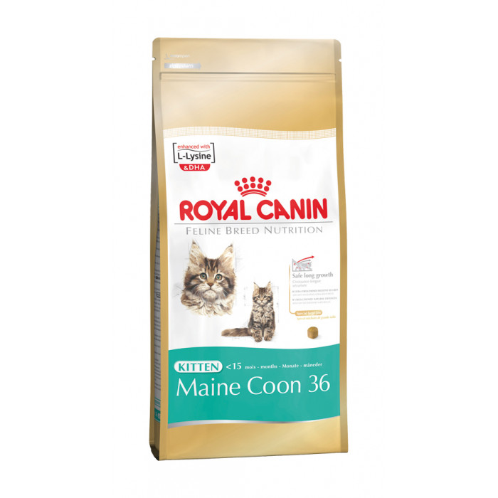 ROYAL CANIN сухой корм для котят породы Мейн-кун  