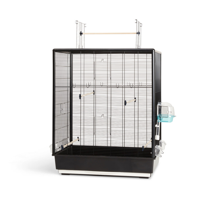 SAVIC Primo 60 Open Empire Knock - Down linnupuur 
