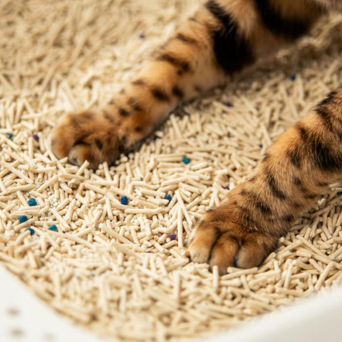 VELVET PAW TOFU наполнитель для кошачьего лотка, смешанный с бентонитом, классический 