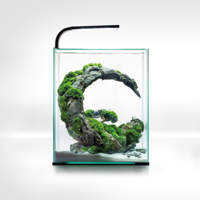 AQUAEL Shrimp Set Smart D&N krevettide akvaarium 