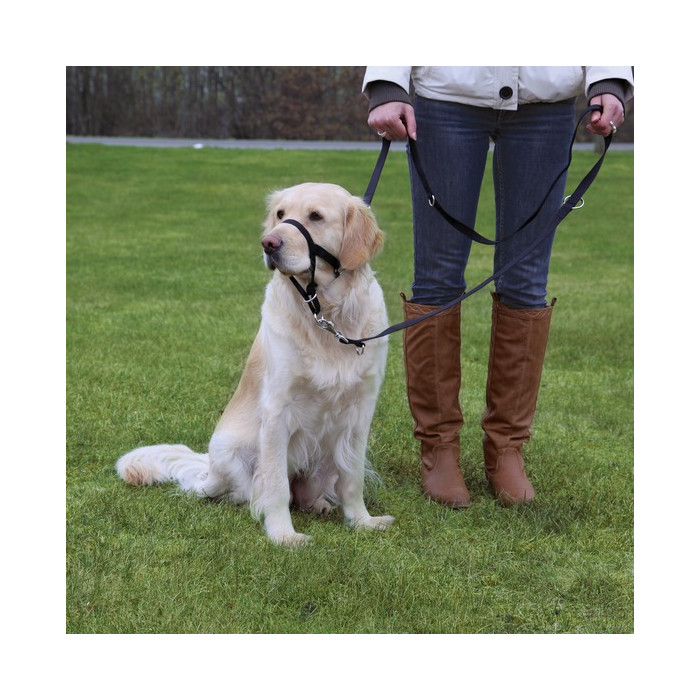 TRIXIE Suukorv Top Trainer koertele 