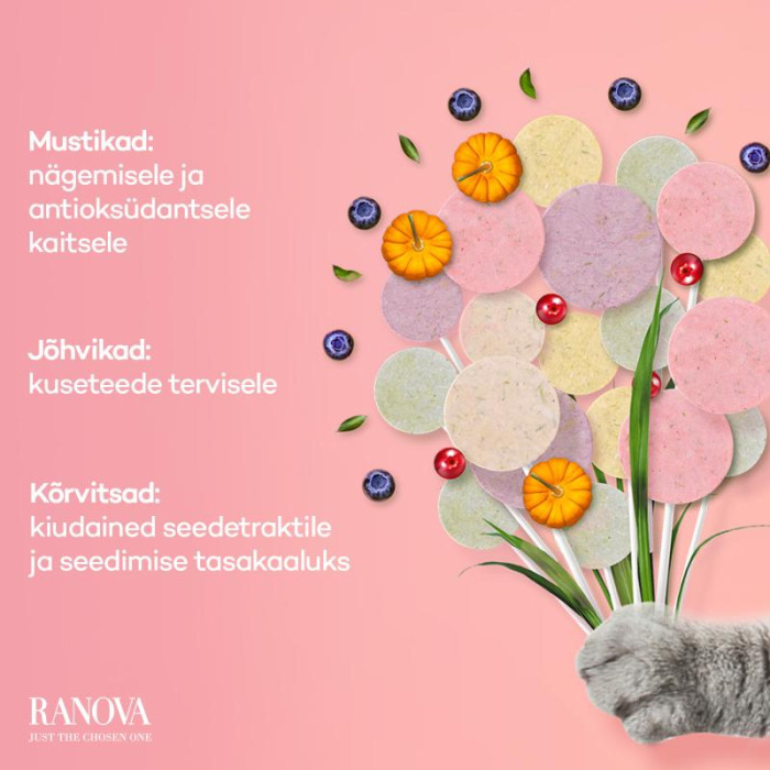 RANOVA Lollipop Täiendsööt-maius kassidele, külmkuivatatud, pulgakommikujuline, erimaitseline 