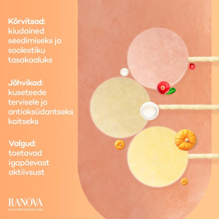 RANOVA Lollipop Täiendsööt-maius koertele, külmkuivatatud, pulgakommikujuline, erimaitseline 