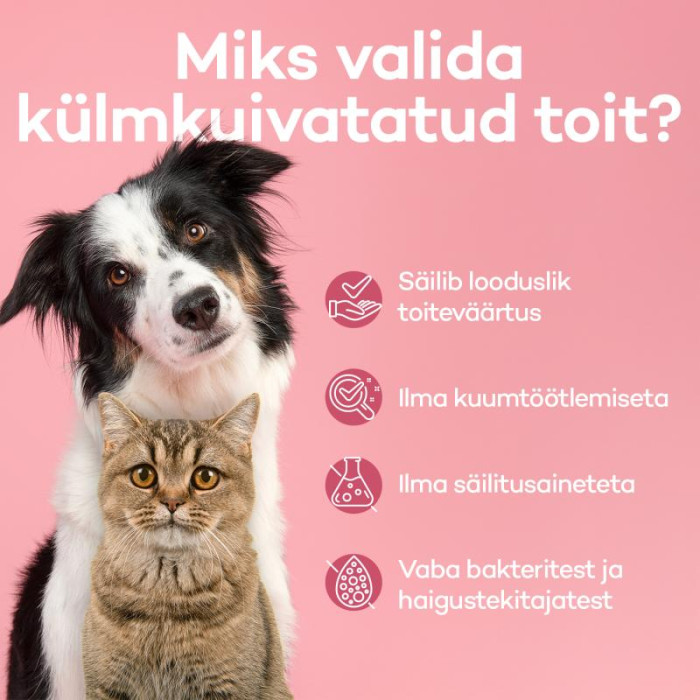 RANOVA Täiendsööt koertele ja kasside – närimismaius, külmkuivatatud jogurtikuubikud, erimaitselised 