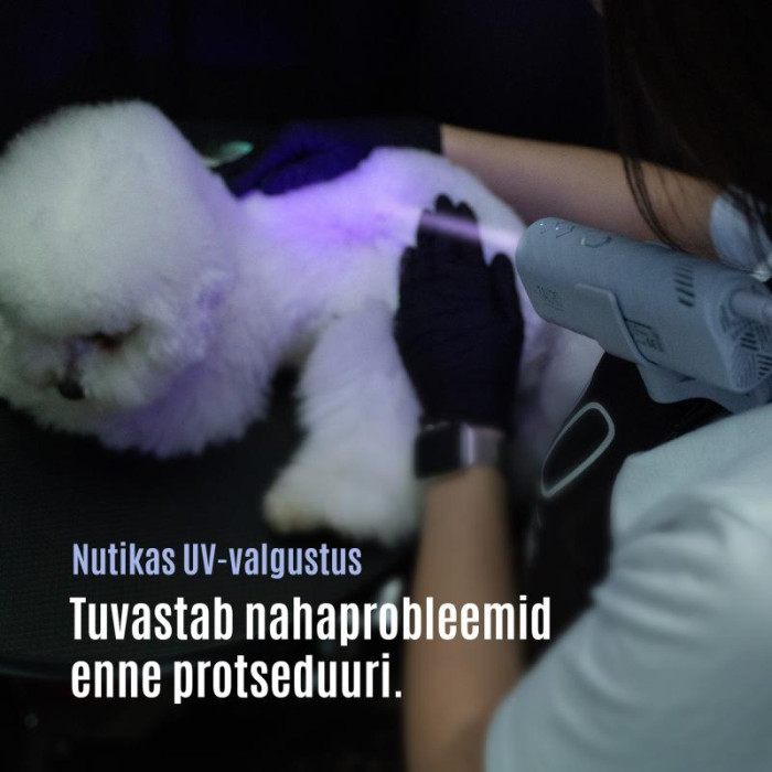 TAURO PRO LINE Universaalne lemmikloomaföön painduva kaelakinnitussüsteemiga 