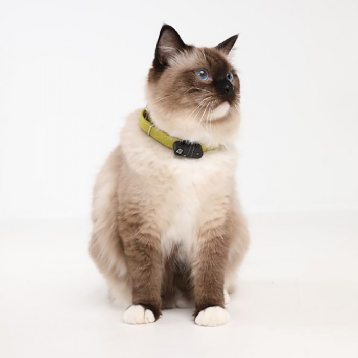 TICKLESS TickLess CAT ultraheliripats puukide ja kirbude tõrjumiseks, koertele ja kassidele 