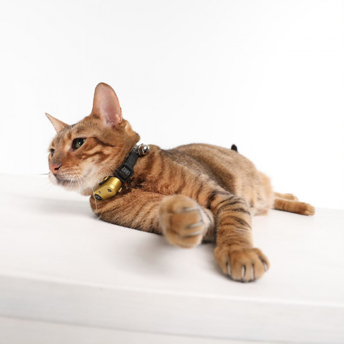 TICKLESS TickLess CAT ультразвуковая подвеска от клещей и блох, для собак и кошек 