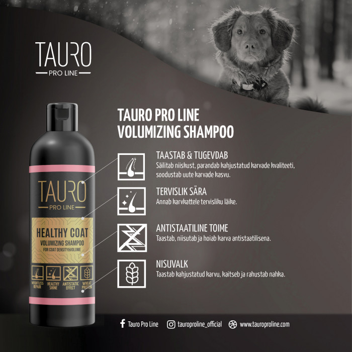 TAURO PRO LINE Healthy Coat, kohevust lisav koera- ja kassišampoon 