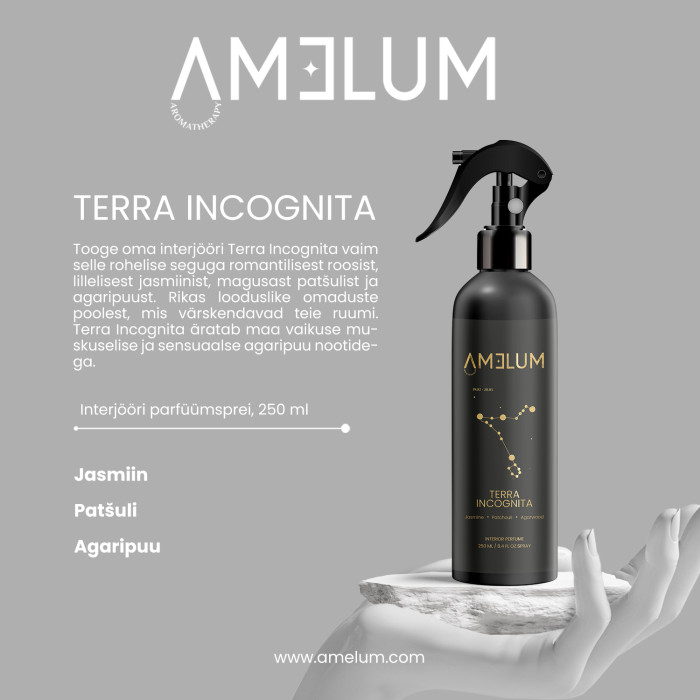AMELUM Terra Incognita interjööri parfüümsprei 