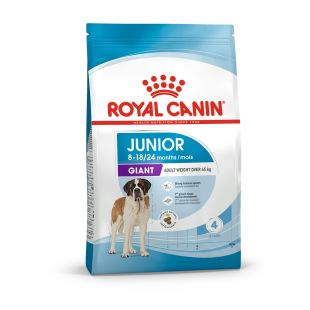 ROYAL CANIN Kuivtoit väga suurt kasvu, noortele koertele 15 kg