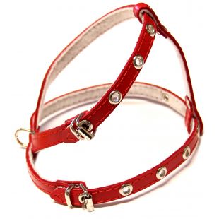 HIPPIE PET Кожаная шлейка для собаки кожаные, перфорированные, 10x38 cм, красные