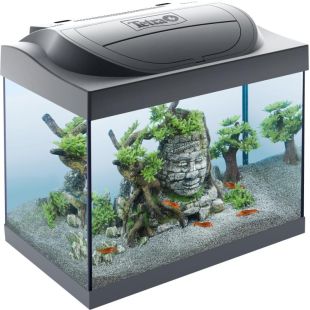 TETRA Starter Line LED Crayfish akvaariumi komplekt, 30 L must, 30 L