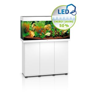 JUWEL LED Rio 180 akvaarium valge, 180 l, 101 x 41 x 50 cm
