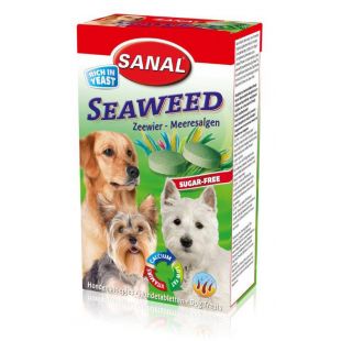 SANAL dog seaweed toidulisand koertele 100 tabl