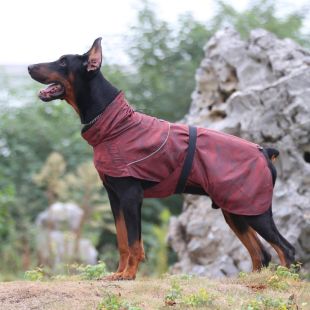 PAW COUTURE Lemmiklooma vest 