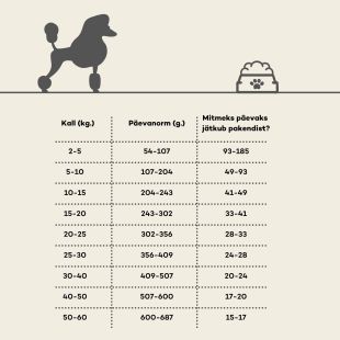 NATURE'S PROTECTION SUPERIOR CARE teraviljavaba kuivtoit punase karvaga kõigi koeratõugude täiskasvanud koertele, lõhega 10 kg