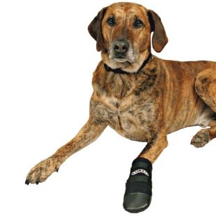 TRIXIE Ботинки для собак Walker, 2шт. 2 шт., размер М, черные