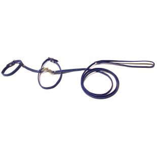 HIPPIE PET Велюровый набор для кошки с шлейками велюровый, 1.0x140 cм, синий