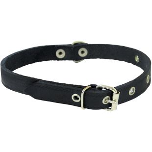 HIPPIE PET Ошейник, перфорированный, 1.6x40 см черный